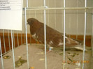 DSCN0453