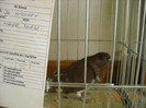 DSCN0454