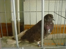 DSCN0455