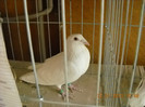 DSCN0458
