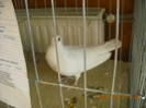 DSCN0459