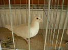 DSCN0460