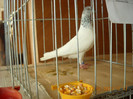 DSCN0461