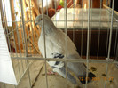 DSCN0466