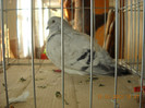 DSCN0467