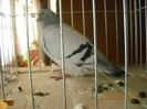 DSCN0468