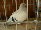DSCN0470