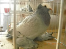DSCN0471