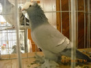 DSCN0472