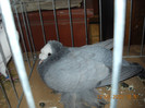 DSCN0473