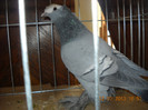 DSCN0474