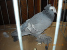 DSCN0475