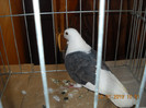 DSCN0477