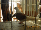 DSCN0480