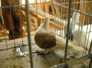 DSCN0481