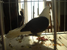 DSCN0482