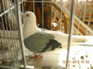 DSCN0483