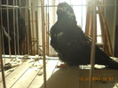 DSCN0485