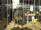 DSCN0486