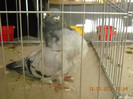 DSCN0489