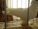 DSCN0499