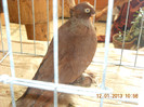 DSCN0502
