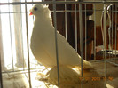 DSCN0503