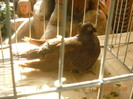 DSCN0504