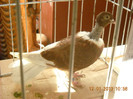 DSCN0508