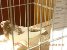 DSCN0511