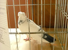 DSCN0514