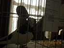 DSCN0516