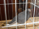 DSCN0519