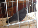 DSCN0521