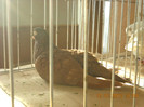 DSCN0524
