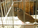 DSCN0525