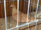 DSCN0531