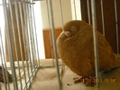 DSCN0532