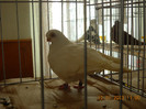 DSCN0534