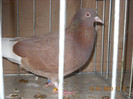 DSCN0542
