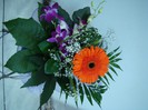 DSC09059