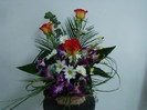 DSC09170