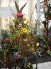DSCN2279