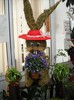 DSCN2280