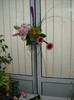 DSCN2319