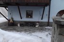 DSCF2293