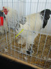 Picture 033