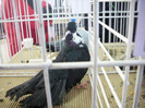 EXPO- AEO 2013 045