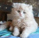 4e39b211254d4abf5e07b9af7