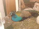 Picture 210
